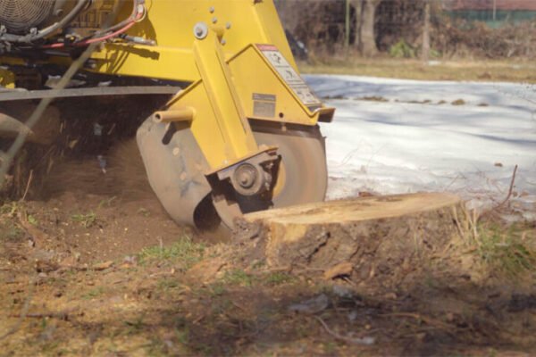 stump grinding sunshine coast