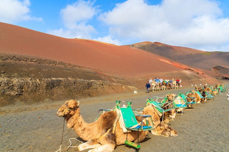 Lanzarote Activities