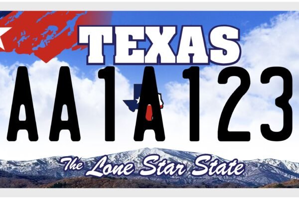 texas license plate lookup