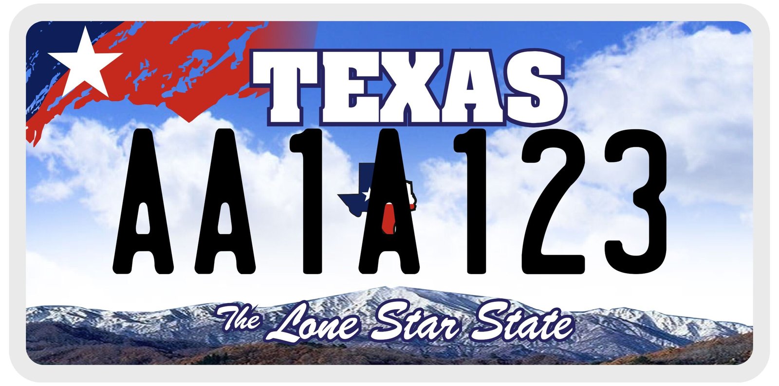 texas license plate lookup